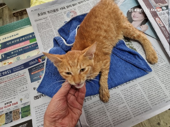 종료(자연사) 한국…
